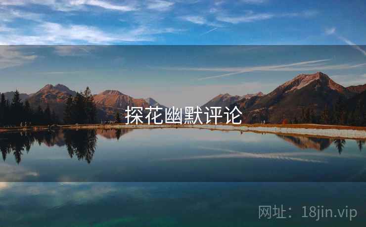 探花幽默评论