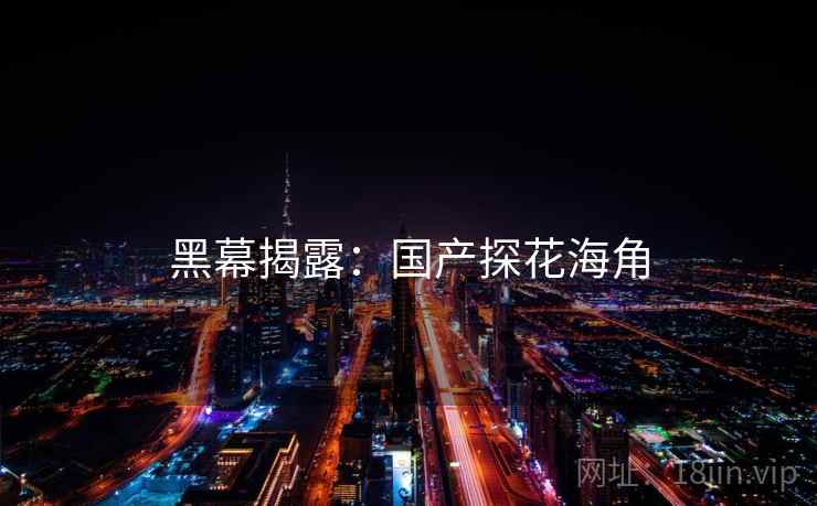 黑幕揭露:国产探花海角  第2张 黑幕揭露:国产探花海角  第2张