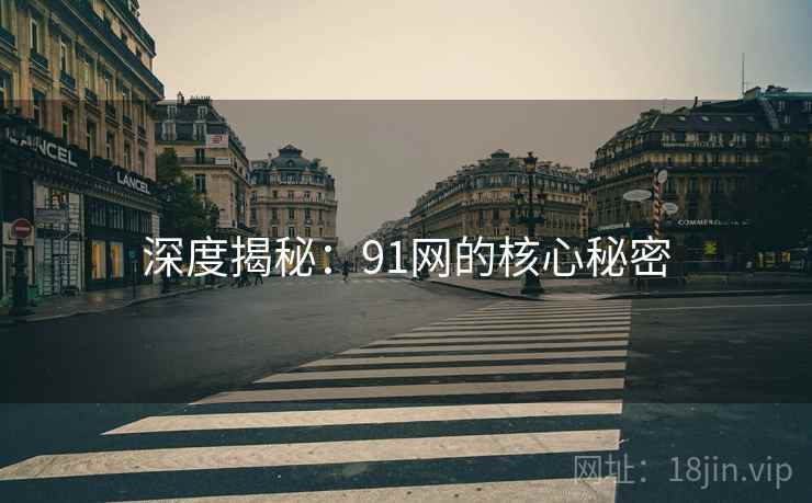 深度揭秘:91网的核心秘密  第2张 深度揭秘:91网的核心秘密  第2张
