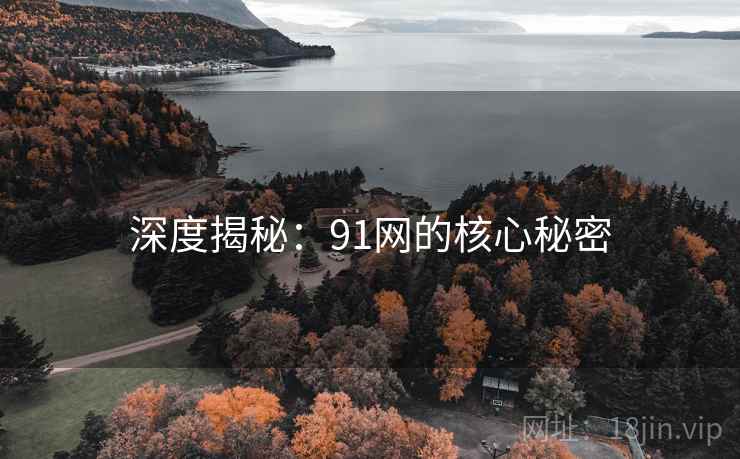 深度揭秘：91网的核心秘密