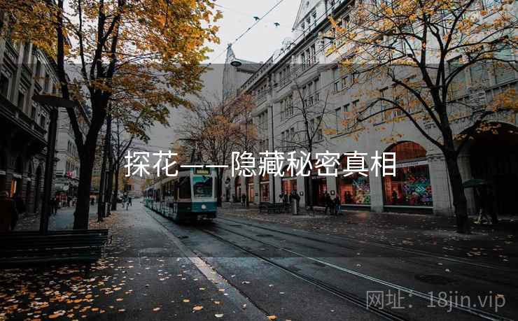 探花——隐藏秘密真相