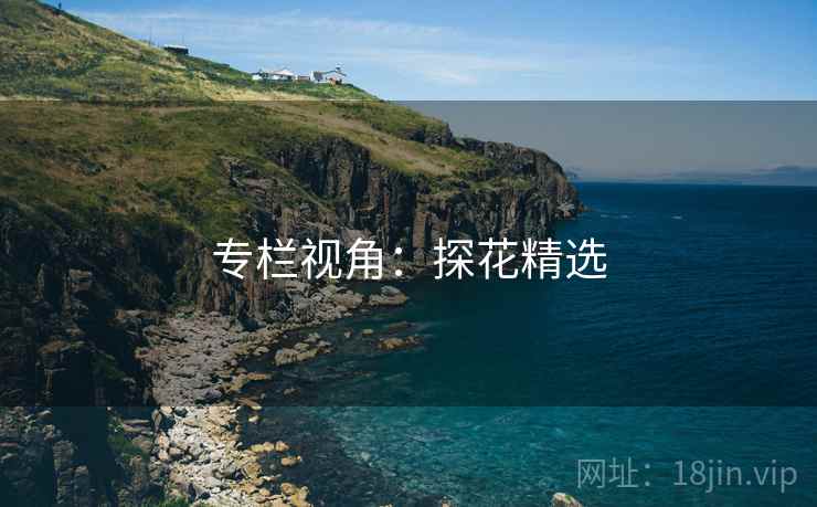专栏视角:探花精选