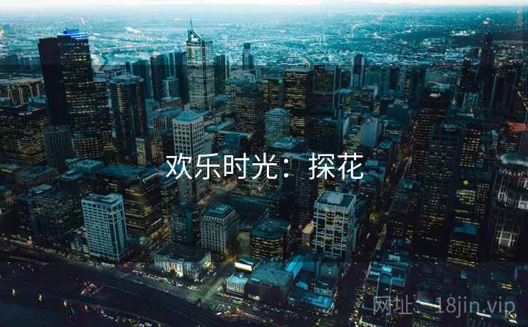 欢乐时光:探花