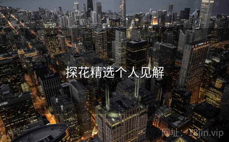探花精选个人见解
