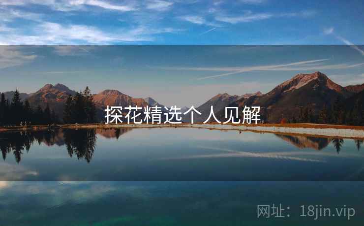 探花精选个人见解