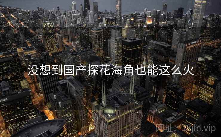 没想到国产探花海角也能这么火