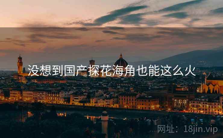 没想到国产探花海角也能这么火