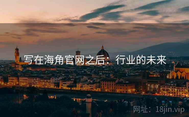 写在海角官网之后:行业的未来