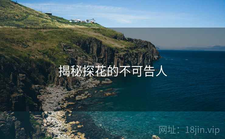 揭秘探花的不可告人