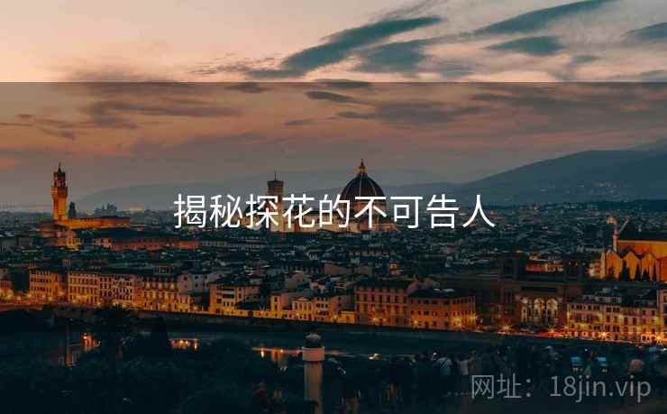 揭秘探花的不可告人