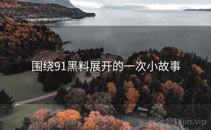 围绕91黑料展开的一次小故事