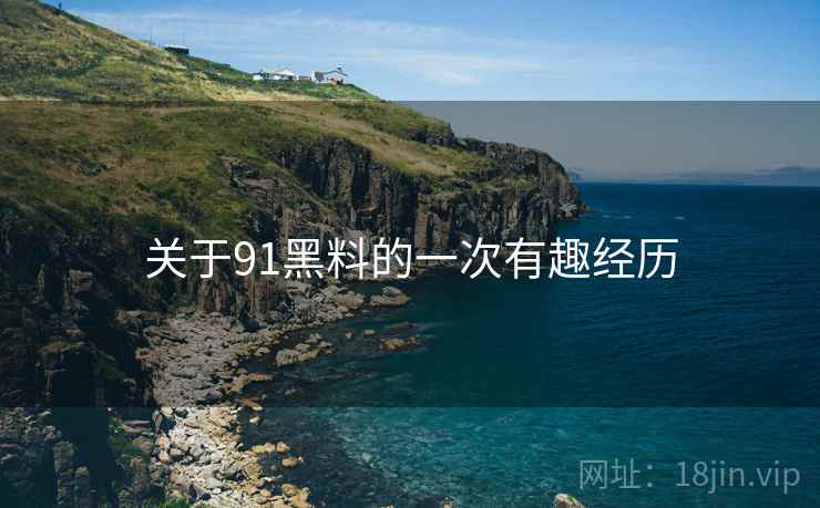 关于91黑料的一次有趣经历