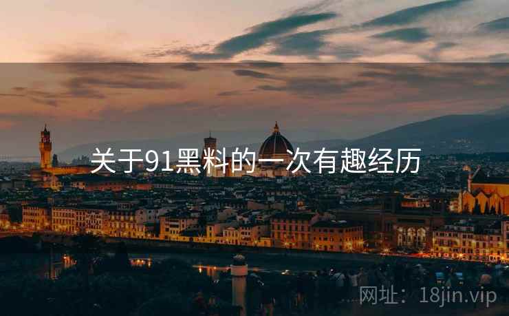 关于91黑料的一次有趣经历