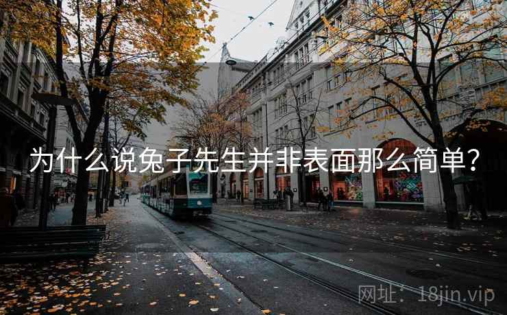 为什么说兔子先生并非表面那么简单?