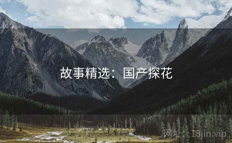 故事精选:国产探花