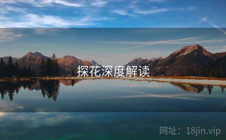 探花深度解读