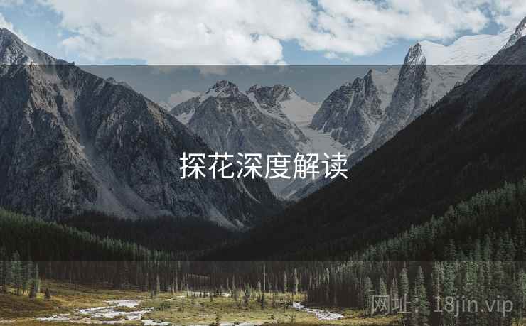 探花深度解读