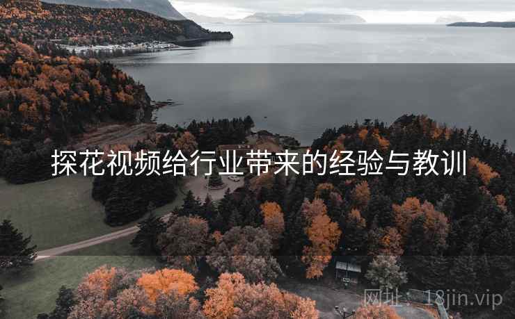 探花视频给行业带来的经验与教训