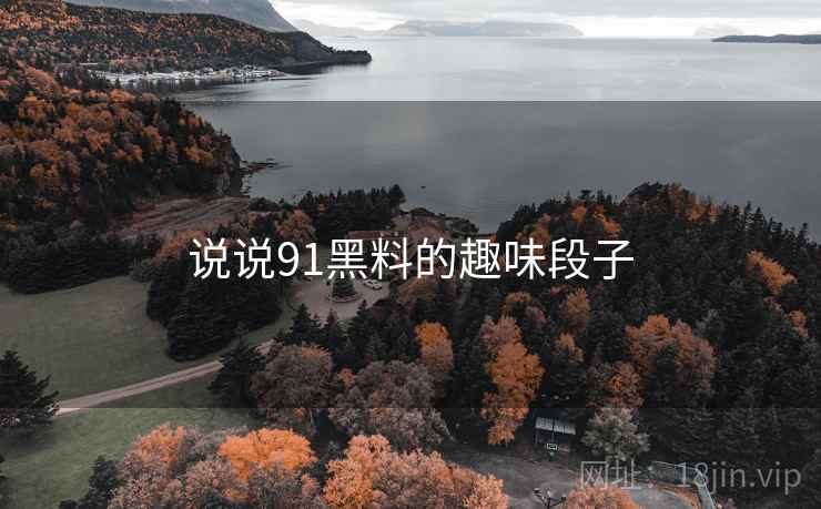 说说91黑料的趣味段子