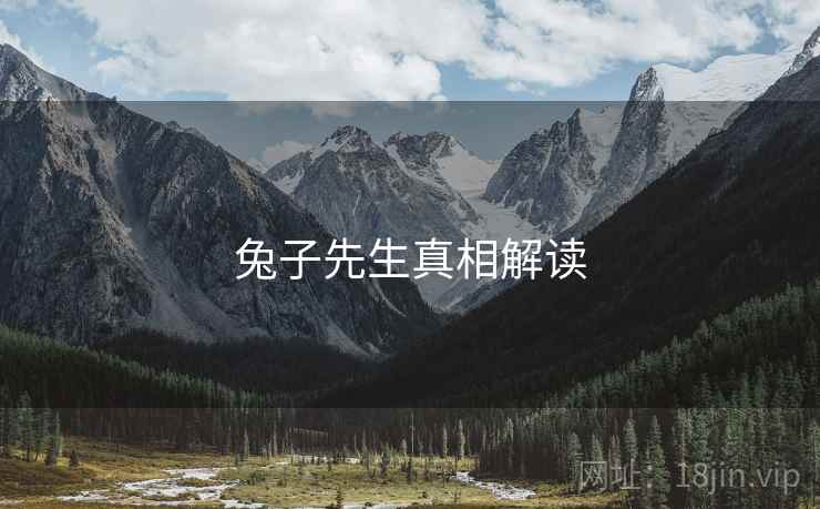 兔子先生真相解读