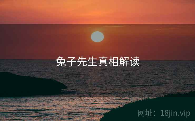 兔子先生真相解读