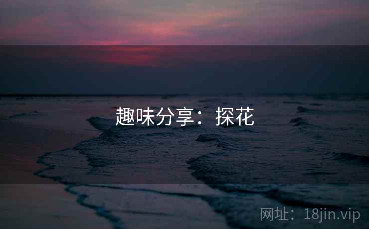 趣味分享:探花
