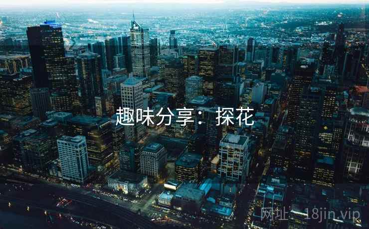 趣味分享:探花
