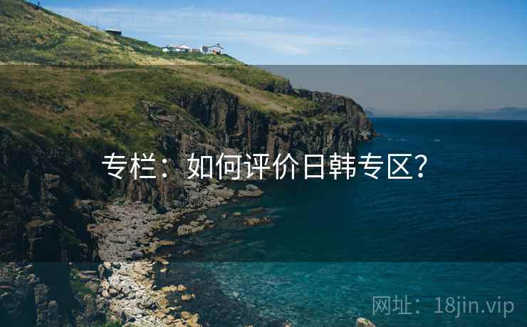 专栏:如何评价日韩专区?  第2张 专栏:如何评价日韩专区?  第2张