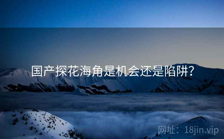 国产探花海角是机会还是陷阱?