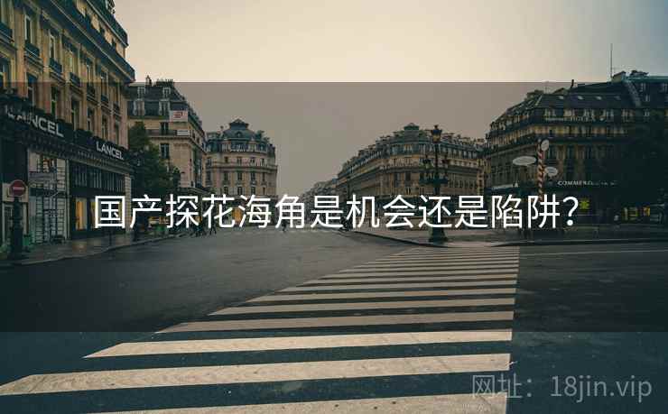 国产探花海角是机会还是陷阱?