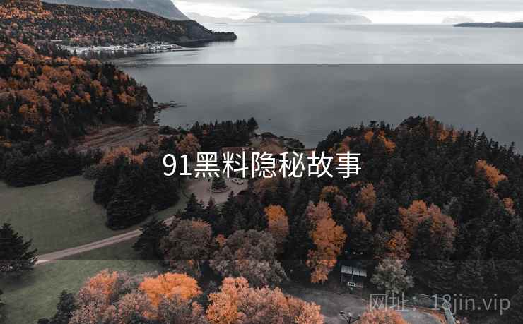 91黑料隐秘故事