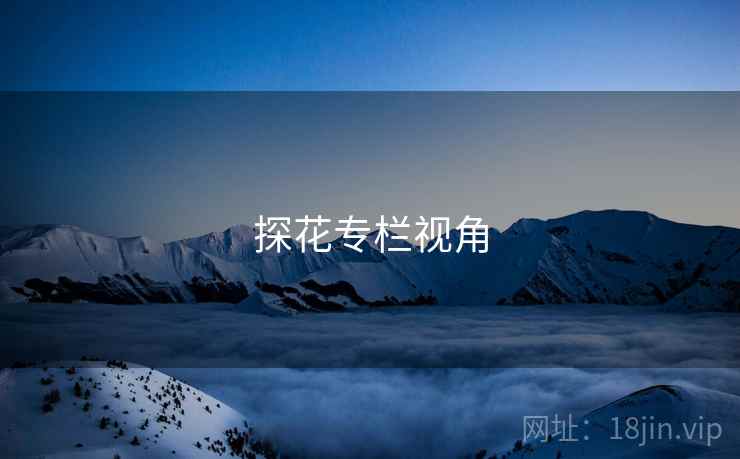 探花专栏视角
