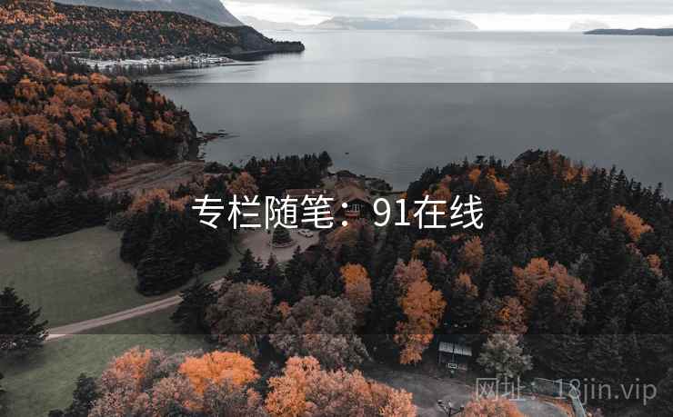 专栏随笔:91在线