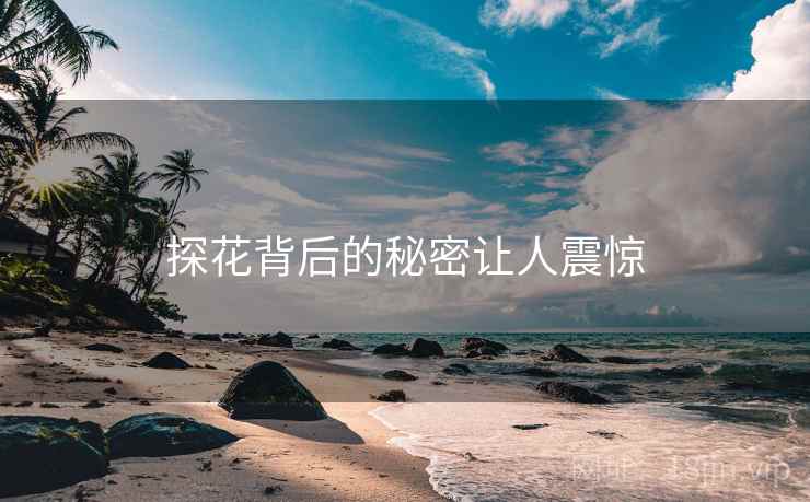 探花背后的秘密让人震惊