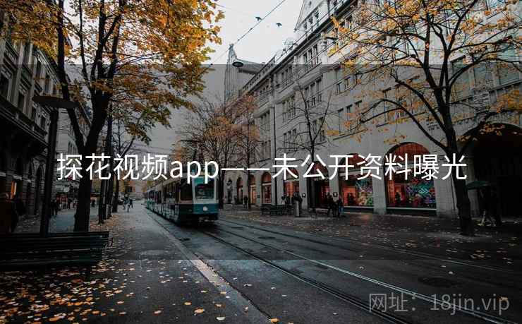 探花视频app——未公开资料曝光
