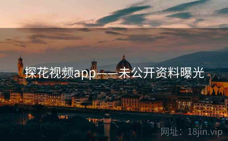 探花视频app——未公开资料曝光