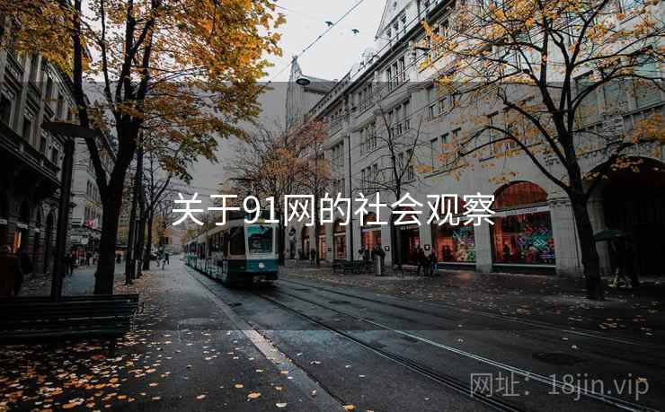 关于91网的社会观察