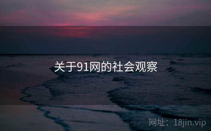 关于91网的社会观察