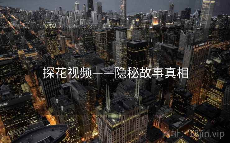 探花视频——隐秘故事真相