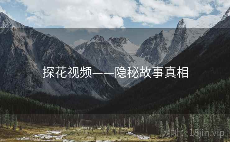 探花视频——隐秘故事真相